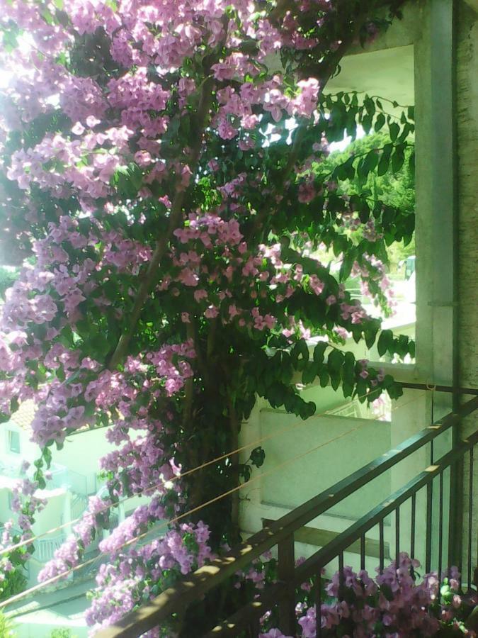 Apartmani Ivona Podgora Εξωτερικό φωτογραφία